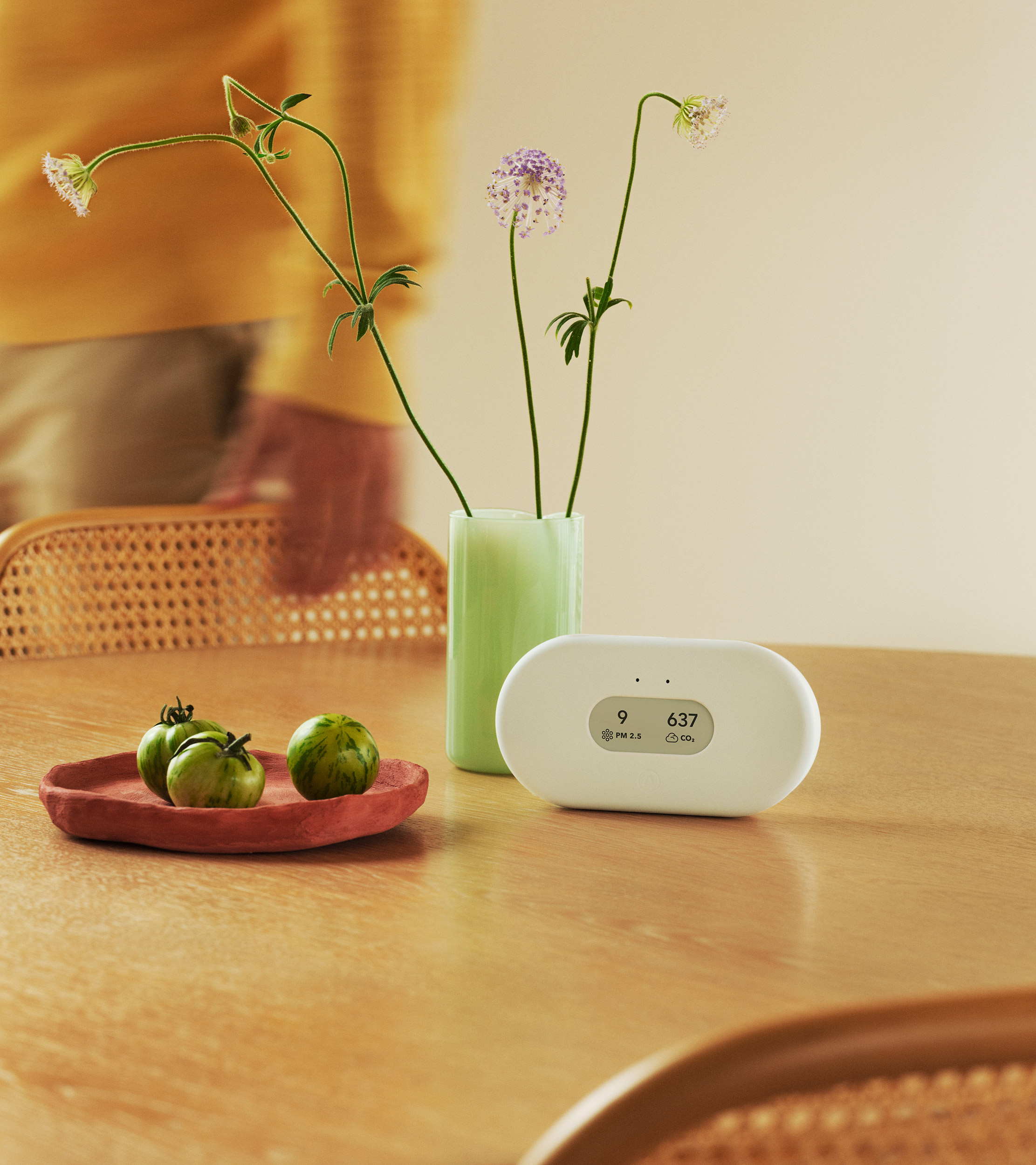Airthings View Plus on a kitchen counter — showing PM2.5 and CO₂ on its e-ink display.