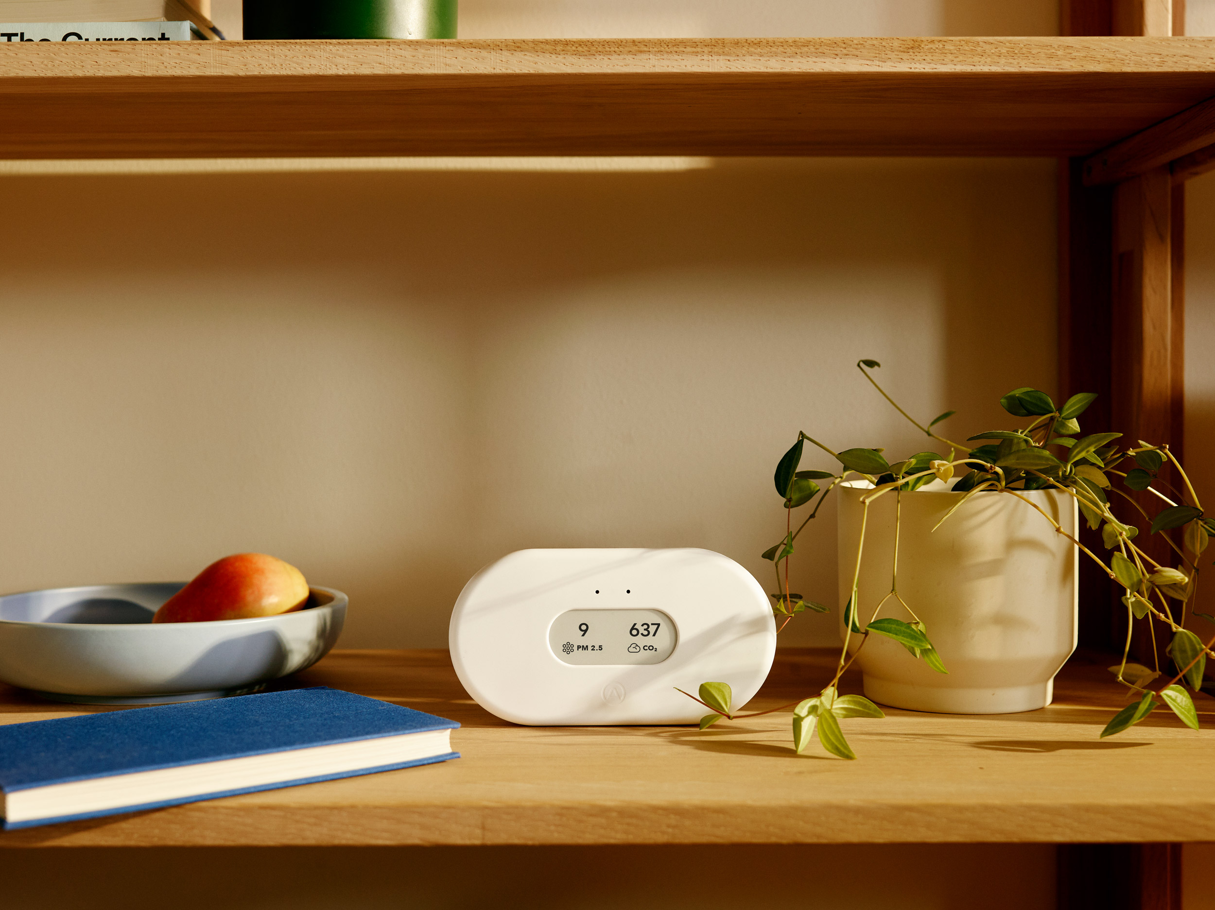 Airthings View Plus vs Corentium Home 2: The Best Radon Detectors